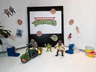 Teenage Mutant Ninja Turtles (TMNT) vintage Konvolut 1980/90 - Neu Ulm