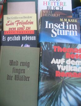 Romane / Unterhaltungsliteratur ohne Ende --- Teil 9 - Neuenkirchen (Landkreis Heidekreis)