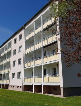 Schöne DG-Wohnung am Rande von Zwickau! Neuer Preis!!! - Zwickau