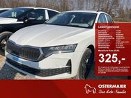 Skoda Octavia, 2.0 TDI Combi TOUR FAHRASS LENKR, Jahr 2022 - Eggenfelden