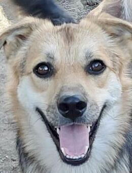 Pok - Rotenburg (Fulda)