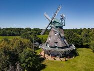 Original Holländer Reetdach Mühle - Privatsphäre pur - Lübeck