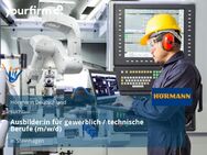 Ausbilder:in für gewerblich / technische Berufe (m/w/d) - Steinhagen (Nordrhein-Westfalen)