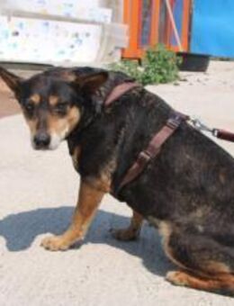 Wella sucht ihren sicheren Hafen - München