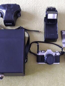 Fotoapparate, diverse Modelle und Stereo-Mikrophon - Ehra-Lessien