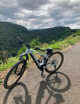 Cube Reaction Hybrid Pro - 625 WH- 85 nm Größe 19 L- Rad“29 - Bernkastel-Kues