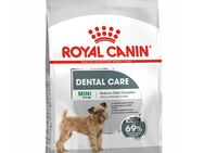 Royal Canin Mini Dental Care - 3 kg