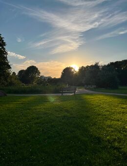 Abendspaziergang beim Sonnenuntergang 🌅 - Berlin