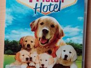 4 Pfoten-Hotel, DVD - Bötzingen