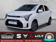 Kia Picanto, 1.2 PE2 MT VISION, Jahr 2024 - Zetel