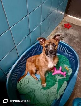 PEPE 🩵 Weltentdecker sucht liebe Crew - Fahrenzhausen