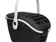 Curver Transport Box - B 51 x T 38 x H 33 cm (schwarz)