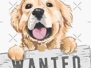 Welpe/kleinen Junghund gesucht - Gotha