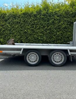Baumaschinentransportanhänger mieten - Schauenburg