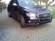 Biete Audi Q5 2.0 TDI quattro S-tronic im top Zustand zum Kauf an - Alt Tucheband