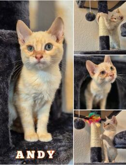 Andy u. Archie - Schwielowsee