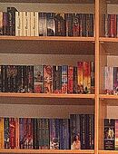 Suche Vorleserin (junge weibliche Stimme) für Fantasy- und evtl SF-Romane in 65933