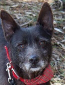 PORTHOS - aufgeschlossen & lieb - Velbert