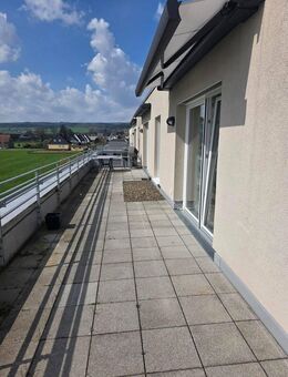 Betreute Wohnung in Dassel - Bezugsfrei ab Juni - Dassel