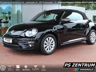 VW Beetle, 1.2 TSI Cabriolet Design, Jahr 2018 - Versmold