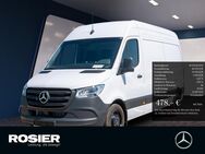 Mercedes Sprinter, 315 Kasten L2 H2, Jahr 2024 - Braunschweig