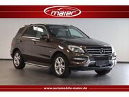 Mercedes-Benz ML 350 BlueTec 4M-Navi-Xenon-PANO-Luft-Leder- - Bebra