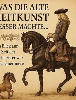Mobiler Reitunterricht und Beritt - Gifhorn Zentrum