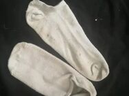 Gebrauchte Socken verkaufen - Hamburg