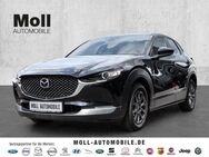 Mazda CX-30 SKYACTIV-G 2.0 FWD M-Hybrid 6-Gang LED Navi Keyless Head-UP ACC HUD digitales Cockpit - Aachen