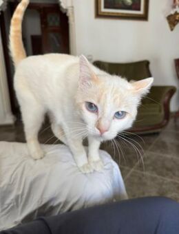 Mia2 ; eingesperrt schrie sie um Hilfe - Geilenkirchen