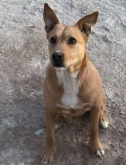 Noa entsorgt von der eigenen Familie.... - Laatzen