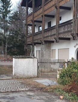 Schöne große 4 Zimmer Wohnung, Spiegelau, Erstbezug nach Sanierung - Spiegelau
