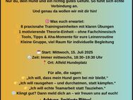 „Neue Hundeworkshops in Alfeld – Leinenführigkeit & Bereit für den Hundeführerschein? - Alfeld (Leine)