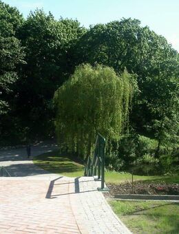 Schöner Wohnen am Park! - Rostock