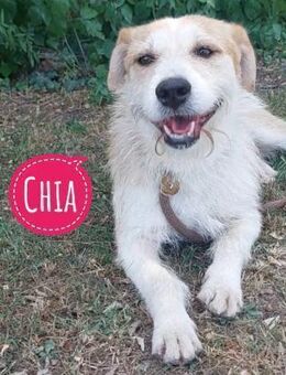 Chia ein besonderes Mädchen - Flörsheim-Dalsheim