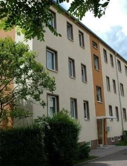 3 Raum-Wohnung im EG in ruhiger grüner Lage - Colditz