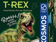 Kosmos Experimentierkasten Nachtleuchtender T-REX