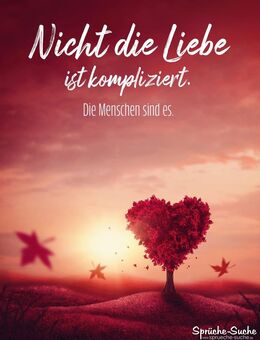 Eine neue Liebe ist wie ein neues Leben!! - Hannover Döhren-Wülfe