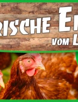 Frische Eier - Altena