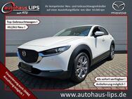 Mazda CX-30 SkyActiv-G | Selection | HUD | ACC | Navi - Bad Kreuznach