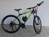 Verkaufe ein Fahrrad der Marke Bergsteiger Rex 29Zoll 24Gang Scheibenbremse Aluminium Rahmen - Roding Zentrum
