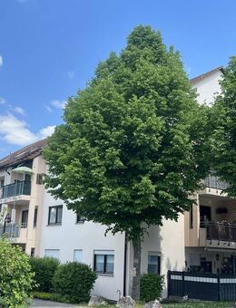Gepflegte, helle 1-Zimmer-Wohnung mit Balkon und Tiefgaragenstellplatz in Bruchsal - Bruchsal