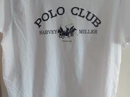 POLO CLUB HARVEY MILLER T-Shirt Größe 3XL nur 1x getragen - Zwickau