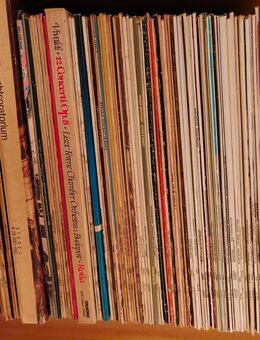 Schallplattensammlung Vinyl LP Sammlung 70iger/80iger Jahre - Chemnitz
