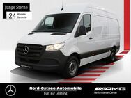 Mercedes Sprinter, 317 L2H2, Jahr 2023 - Heide