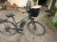 Herren E-Bike von Brose - Gaukönigshofen
