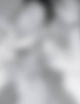 Max*** - Jessen (Elster)