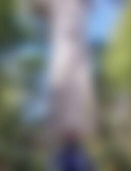 rai*** - Berlin Tempelhof-Schöneberg