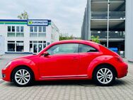 VW Beetle Lim. Design Navi Temp SHZ PDC TÜV Xenon - Aschaffenburg