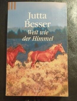 Weit wie der Himmel: Roman Besser, Jutta (Taschenbuch) - Essen